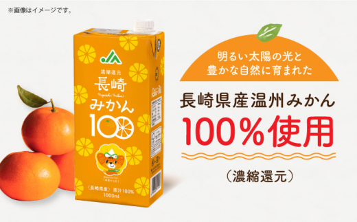 【全3回定期便】長崎みかん100 1L×12本 長崎県/長崎県農協直販 [42ZZAA208] 飲み物 ミカン みかん ジュース 果汁100 100 ％  長崎 ストレート 国産 オレンジ おれんじ