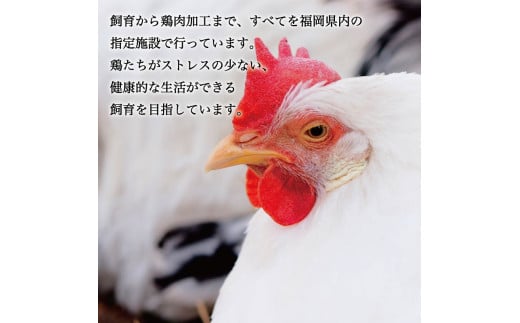 はかた一番どり 鶏しゃぶ セット(3～4人前) [a9243] 株式会社 ゼロプラス ※配送不可：離島【返礼品】添田町 ふるさと納税