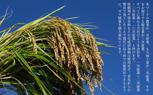 かき餅 おかき お菓子  《かきもち詰合せ 》米農家のこだわり （揚かきもち６種）