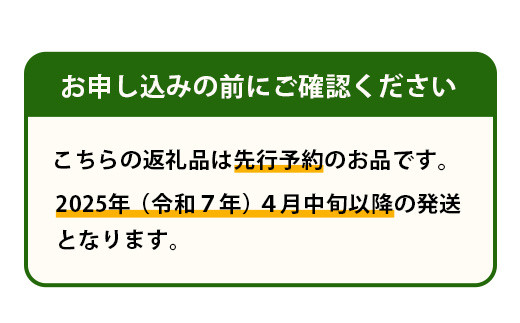 【2025年4月中旬発送開始】熊本県産 ホームランメロン アンデスメロン 食べ比べ 計5玉 約5kg