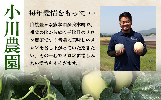 【2025年4月中旬発送開始】熊本県産 ホームランメロン アンデスメロン 食べ比べ 計5玉 約5kg