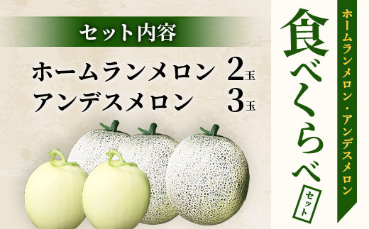 【2025年4月中旬発送開始】熊本県産 ホームランメロン アンデスメロン 食べ比べ 計5玉 約5kg