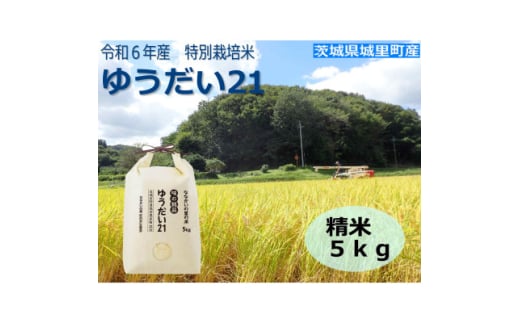 令和6年産＜R5 いばらき米の極み頂上コンテスト受賞＞特別栽培米「ゆうだい21」精米5kg【1557706】