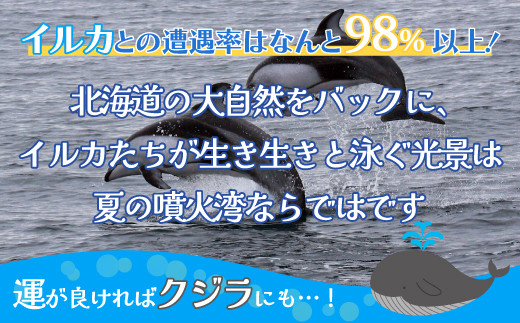 室蘭 イルカウォッチングチケット 大人2名様 【 ふるさと納税 人気 おすすめ ランキング 北海道 室蘭 大人 2名 イルカ ウォッチング クジラ チケット 観光 プライベート イベント 休日 北海道 室蘭市 送料無料】 MROX004