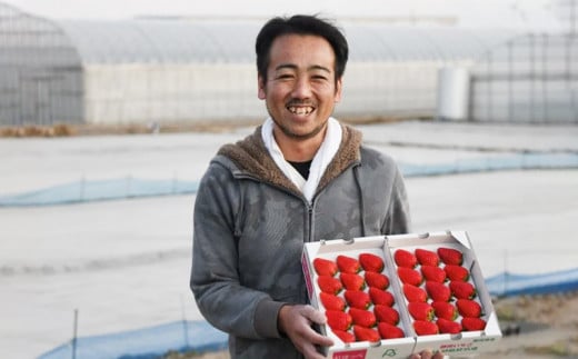 ６１３５　掛川産 冷凍いちじく ( 皮付き) 桝井ドーフィン たっぷり1kg×2袋 計2ｋｇ8月からの発送です ( 静岡 いちじく イチジク 無花果 ミズノ農園 冷凍 ）