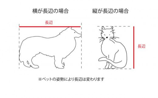 ペットの３Dスキャンと３Dフルカラープリントによる造形（フィギュア）長辺７cm