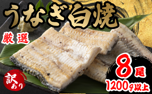 訳あり うなぎ 白焼き 8尾 150g以上 × 8本入 計1200g 以上 ( 鰻 さんしょう 入り 本格 うなぎ 8匹 冷凍 鰻 しらやき 白焼 うな丼 うな重 ひつまぶし 人気 惣菜 海鮮 贈答用 プレゼント 贈り物 ギフト  滋賀県 竜王町 ふるさと納税 )