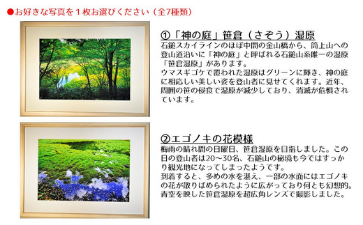 【エゴノキの花模様】写真フレーム【久万材フレーム入り風景写真 658mm×458mm】｜ 絵画 久万 石鎚 風景 景色 アート作品 額縁 手作り 木工 ヒノキ 手仕事　※離島への配送不可