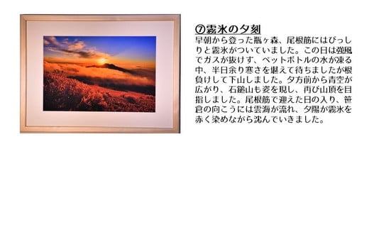 【エゴノキの花模様】写真フレーム【久万材フレーム入り風景写真 658mm×458mm】｜ 絵画 久万 石鎚 風景 景色 アート作品 額縁 手作り 木工 ヒノキ 手仕事　※離島への配送不可