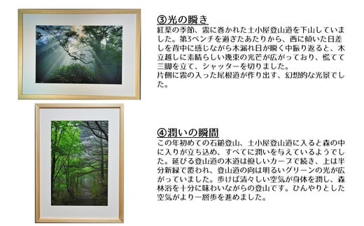 【エゴノキの花模様】写真フレーム【久万材フレーム入り風景写真 658mm×458mm】｜ 絵画 久万 石鎚 風景 景色 アート作品 額縁 手作り 木工 ヒノキ 手仕事　※離島への配送不可