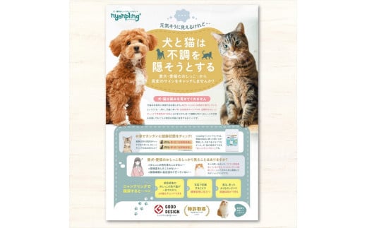 【スポイトｐH試験紙付】犬猫用おしっこチェックセット　×2個【 ペット用品 茨城県 日立市 】