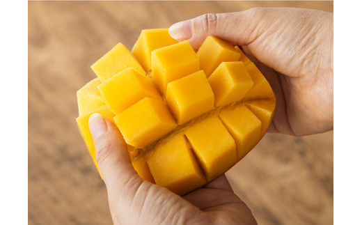 【令和8年発送】宮崎県産完熟マンゴー「おひさまハニーマンゴー」4L×2玉 【 果物 フルーツ マンゴー 宮崎県産 完熟マンゴー みやざきマンゴー 先行予約 数量限定 期間限定 】