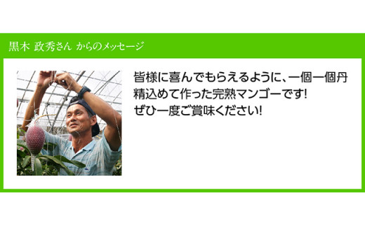 【令和8年発送】宮崎県産完熟マンゴー「おひさまハニーマンゴー」4L×2玉 【 果物 フルーツ マンゴー 宮崎県産 完熟マンゴー みやざきマンゴー 先行予約 数量限定 期間限定 】