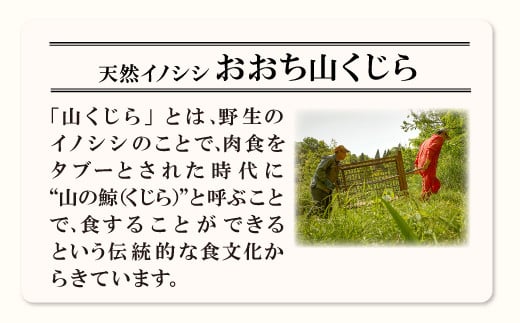 イノシシ肉のポトフ：大きくカットした野菜とイノシシ肉を贅沢に入れ、塩以外の調味料を一切使用していない自然な旨味を楽しめます！