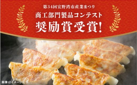 かめかめ島餃子の【人気の売れ筋セット】餃子60個+シークワーサーぽん酢