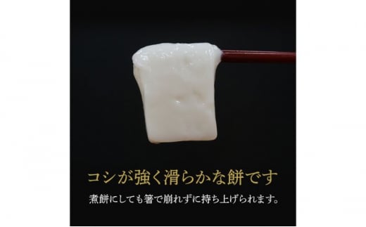 令和6年産 こがねもち使用 越路もち個包装パック　12枚入り×3パック (約1.5升）