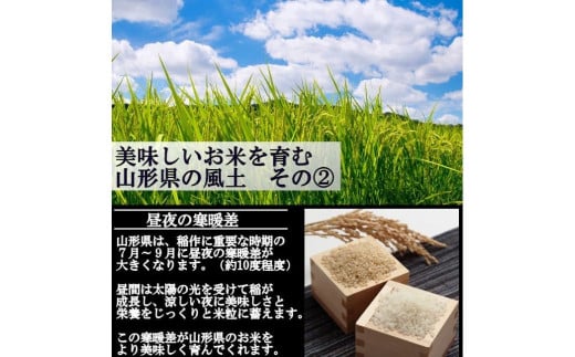 令和7年産予約】慣行栽培米 はえぬき 玄米 30kg | 山形県最上町 令和7年産予約】慣行栽培米 はえぬき 玄米 30kg | 山形県最上町