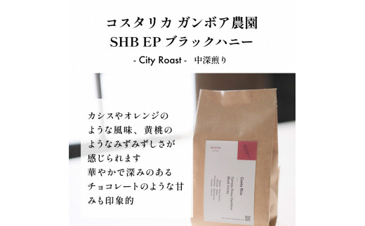 【村上の自家焙煎 シングルオリジンコーヒー 厳選2種】各120g  / 浅煎り〜中煎り【 中挽き 】1075012