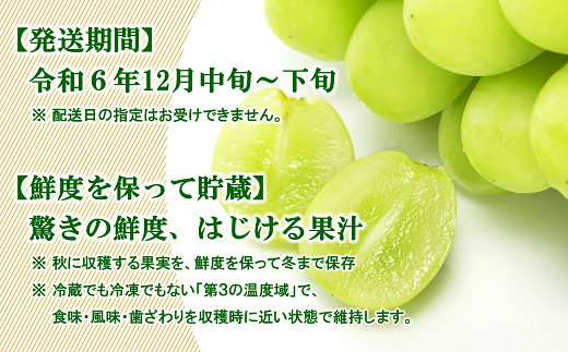 【令和6年産先行予約】 JA 冬のシャインマスカット 約1.7kg (2～4房 秀) 《令和6年12月中旬～下旬発送》 『JA山形おきたま』 山形県 南陽市 [821]