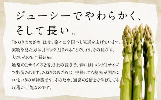 柔らかさと甘みが際立つ さぬきのめざめ春芽 約700g【2025-1月下旬～2025-2月下旬配送】