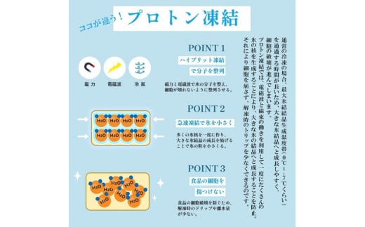 大粒海老焼売 エビシューマイ 約50g×6個×4パック エビ 焼売 シューマイ 海老 海老焼売 魚介 魚介類 本格 中華料理 中華 職人こだわり プロトン冷凍 冷凍 京都 舞鶴