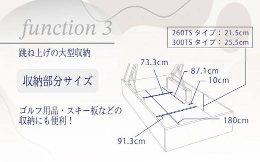 フランスベッド BG-001（跳ね上げ収納タイプ 260mm）上峰町オリジナルマットレス付き　シングル S-208