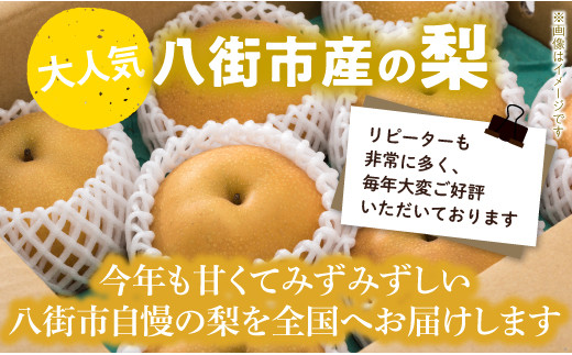 【 数量限定 】 豊水 5kg 小川梨園 申込受付中 ！ 千葉県 千葉なし 梨 なし ナシ フルーツ くだもの 果物 八街 梨豊水