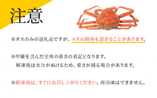 訳あり オオズワイガニオス 大サイズ (約400-500g) 浜ゆで 2kg (4～5尾入)  ボイル 北海道