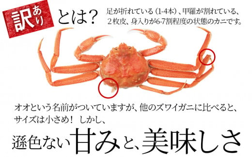 訳あり オオズワイガニオス 大サイズ (約400-500g) 浜ゆで 2kg (4～5尾入)  ボイル 北海道