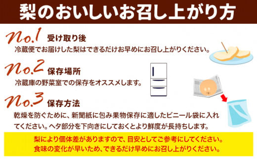 梨 秀品 荒尾梨 新ブランド(愛称) 「ことのみ」 あきづき  約3.5～4kg フルーツ 果物 旬 贈答 ギフト 先行予約 《9月上旬-9月中旬頃出荷》熊本県荒尾市産含む JAたまな荒尾梨部会