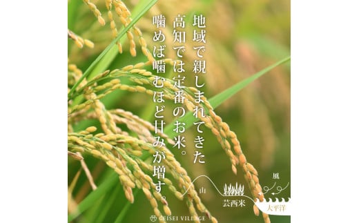 新米 芸西米（げいせいまい）"にこまる" 15kg 5kg×3袋 令和5年産 高知の温暖な気候で育った芸西米 ※お申込み後に精米したての コメ を出荷いたします。白米 美味しい 高知県産