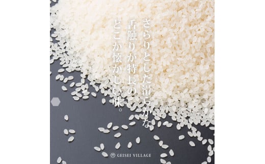 新米 芸西米（げいせいまい）"にこまる" 15kg 5kg×3袋 令和5年産 高知の温暖な気候で育った芸西米 ※お申込み後に精米したての コメ を出荷いたします。白米 美味しい 高知県産