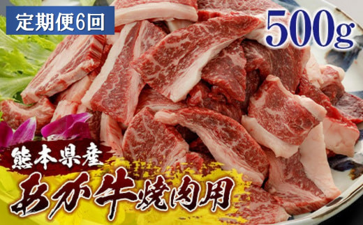 [2024YN]熊本県産和牛あか牛焼肉用500ｇ＜定期便6回＞