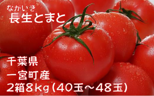 長生（ながいき）とまと２箱（40～48個(約8kg)）一宮町産 トマト 先行予約