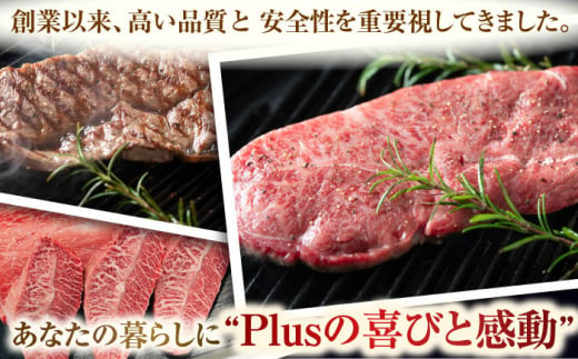 【厳選希少部位】【A4～A5】長崎和牛ミスジステーキ　約500g（100g×5p）【株式会社 MEAT PLUS】 [QBS030]