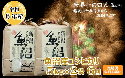 K151P309 ＜令和6年産＞魚沼産コシヒカリ定期便 5kg2袋×6回（毎月お届け）【(有)米萬商店】世界一の四尺玉の町片貝町 白米 魚沼 米 定期便