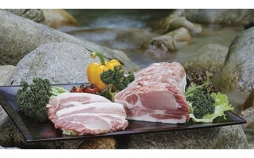 大町銀嶺豚【豚肉ロース（約100ｇ×6枚）】と信州アルプス牛【牛肉肩ロースすきしゃぶ用（約500ｇ）】セット