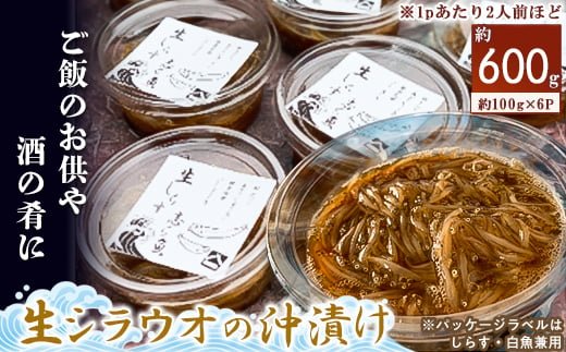 生シラウオの沖漬け600g(100g×6P)【1214804】