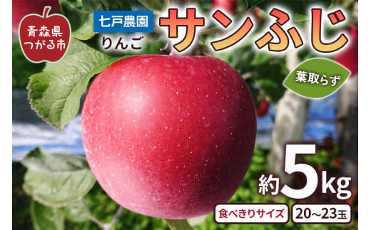 りんご サンふじ 葉取らず 食べきりサイズ 約5kg (20～23玉)｜青森産 つがる 青森りんご リンゴ 林檎 フルーツ 果物 令和6年 2024年 ふじ 葉とらず りんご サンフジ [0758]