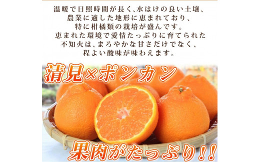 【ご家庭用訳有り】紀州有田産不知火(しらぬひ) 約8.5kg【2025年2月中旬以降発送】【先行予約】【UT41】