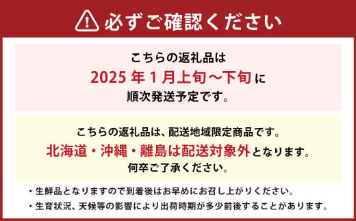 福岡県産 あまおう 1000g（250g×4パック）