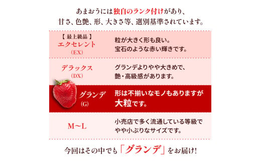 福岡県産 あまおう 1000g（250g×4パック）