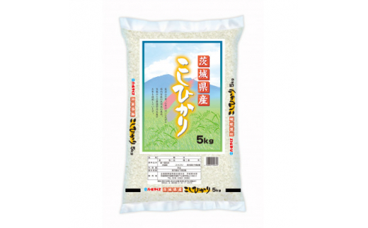 ＜令和5年産＞パール　茨城産こしひかり　5kg【1365211】