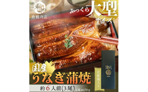 大型サイズ　ふっくら柔らか　国産うなぎ蒲焼き　3尾　化粧箱入【土用の丑の日のうなぎ】【2025年2月1日までにお届け】【UT06】