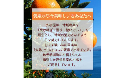 安樹屋　愛媛県明浜産　温州みかん（早生） 10kg（家庭用）