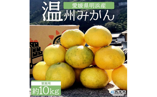 安樹屋　愛媛県明浜産　温州みかん（早生） 10kg（家庭用）