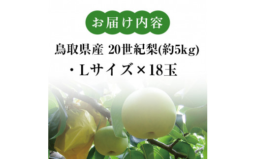 ＜Lサイズ×18玉＞鳥取県産 20世紀梨(約5kg)【sm-BP004-A】【フジキコーポレーション】