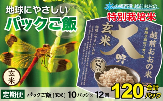 【先行予約】【12ヶ月定期便】地球にやさしいパックご飯 10食入り【玄米】× 12回　計120食　減農薬・減化学肥料 「特別栽培米」