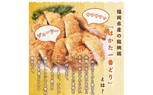 SZ003　はかた一番どり　チキンカツ5枚入り×6P　鶏 鶏肉 福岡県産 ムネ