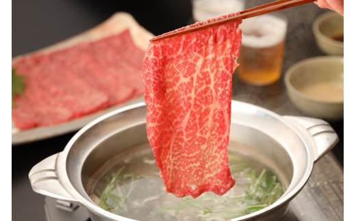 飛騨牛サーロインしゃぶしゃぶ  1300g（9～10人分）【冷凍】ブランド牛 牛肉 国産 下呂温泉 和牛 牛 高級 飛騨牛 しゃぶしゃぶ サーロイン おすすめ